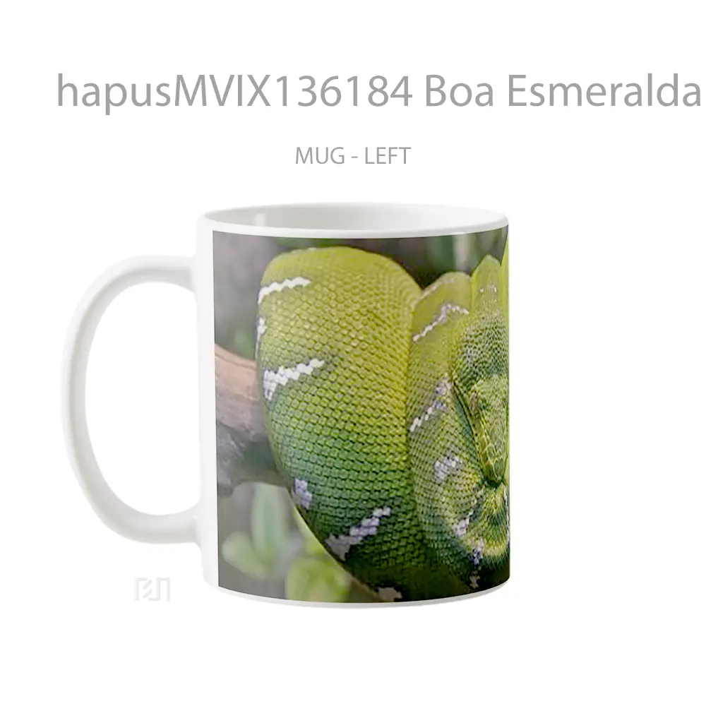 Mug Boa Esmeralda In A Tree Gelas Pemandangan Alam - All-side / Desain