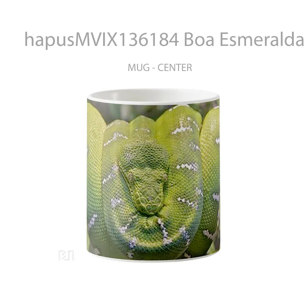Mug Boa Esmeralda In A Tree Gelas Pemandangan Alam
