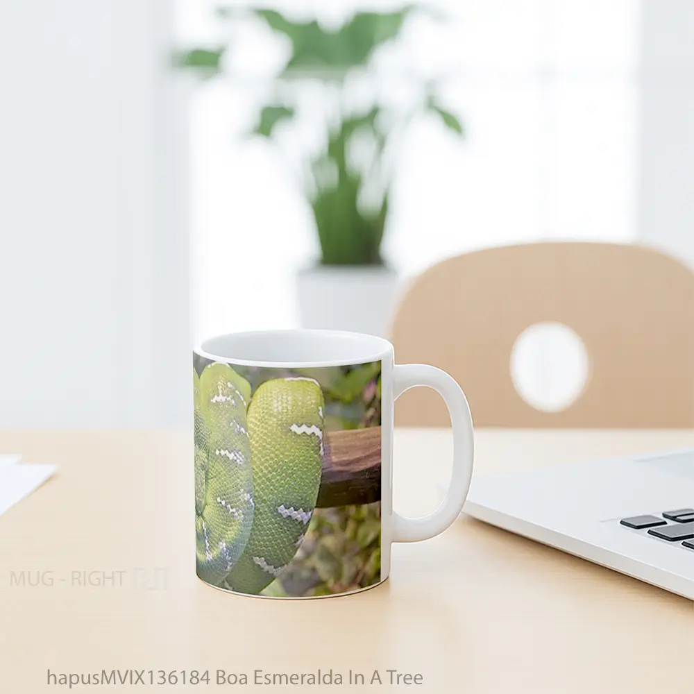 Mug Boa Esmeralda In A Tree Gelas Pemandangan Alam - All-side / Desain