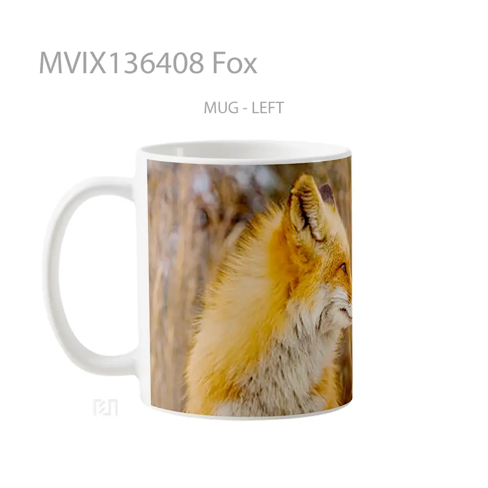 Mug Fox Gelas Hewan Lucu - All-side / Desain