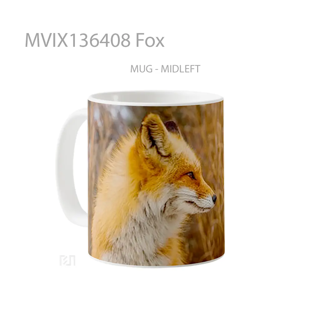 Mug Fox Gelas Hewan Lucu - All-side / Desain