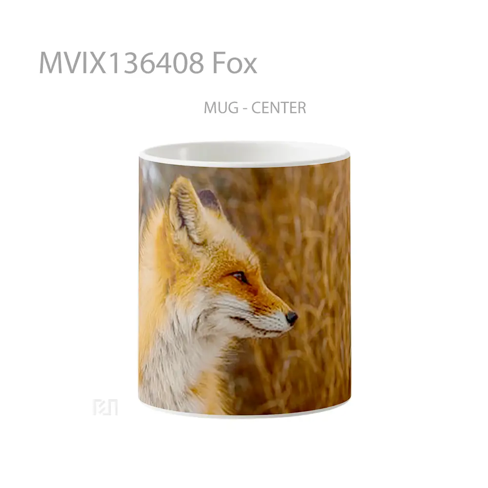 Mug Fox Gelas Hewan Lucu