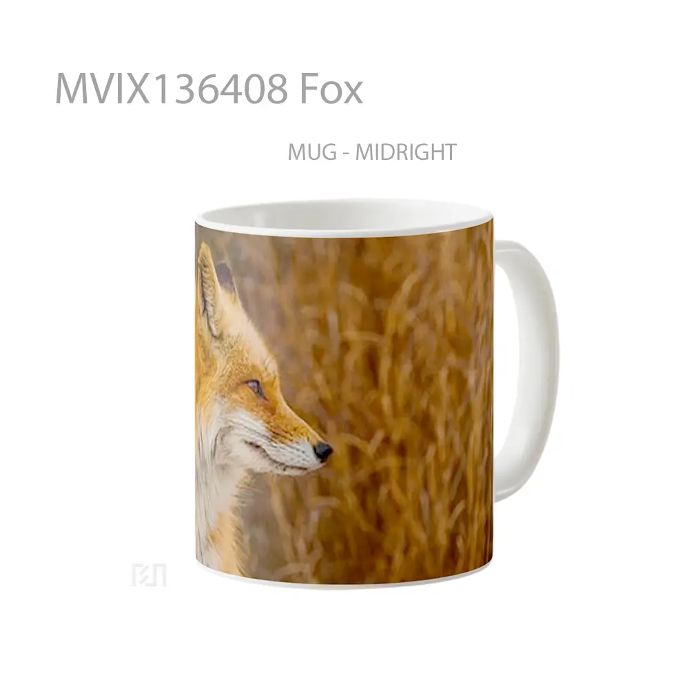 Mug Fox Gelas Hewan Lucu - All-side / Desain