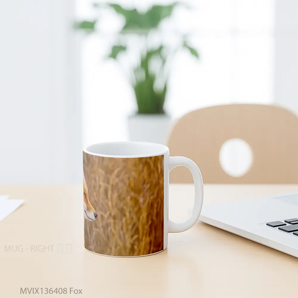 Mug Fox Gelas Hewan Lucu - All-side / Desain