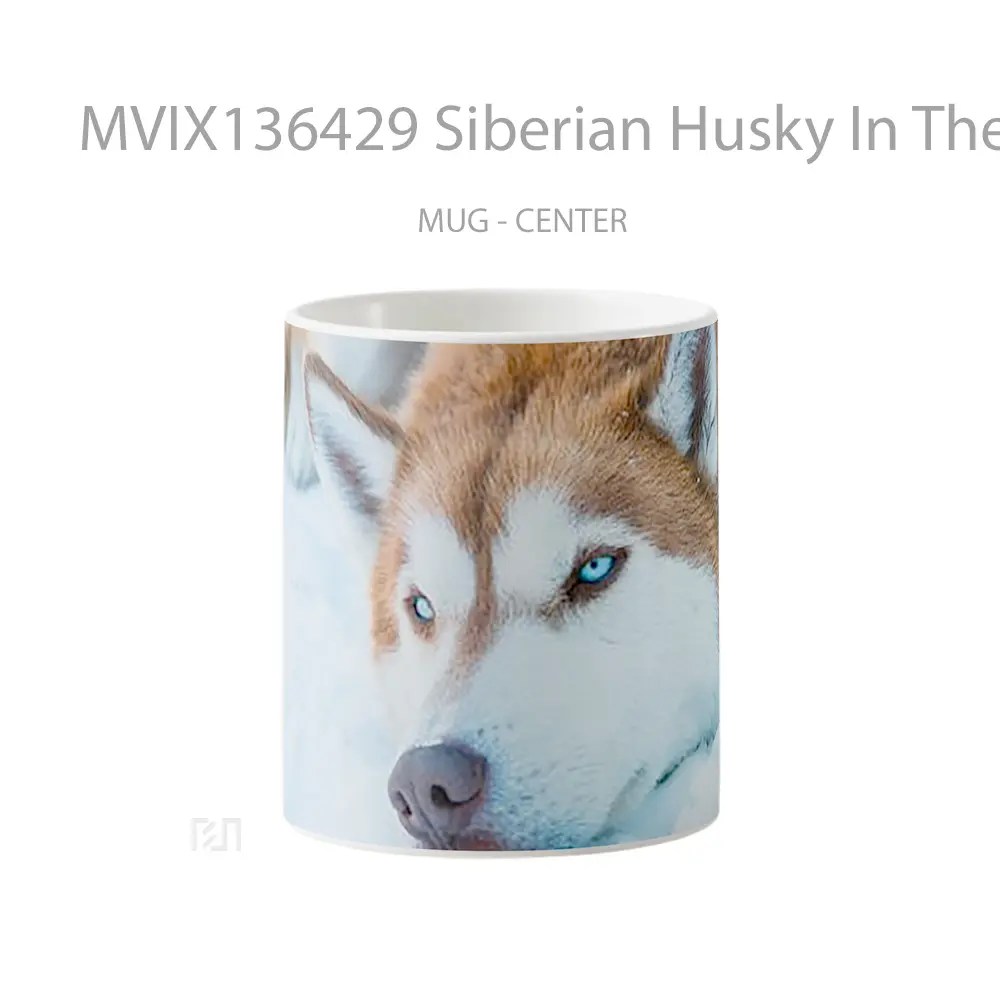 Mug Siberian Husky In The Snow Gelas Pemandangan Alam