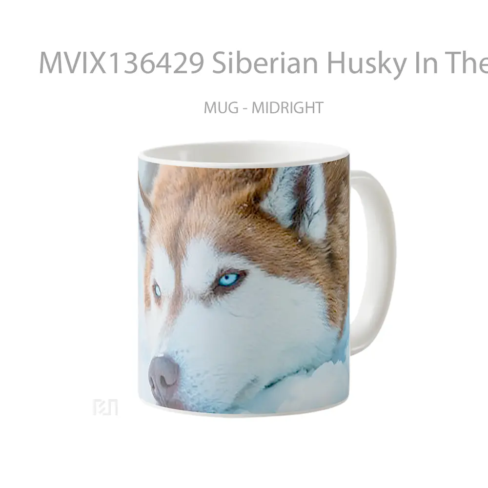 Mug Siberian Husky In The Snow Gelas Pemandangan Alam - All-side / Desain