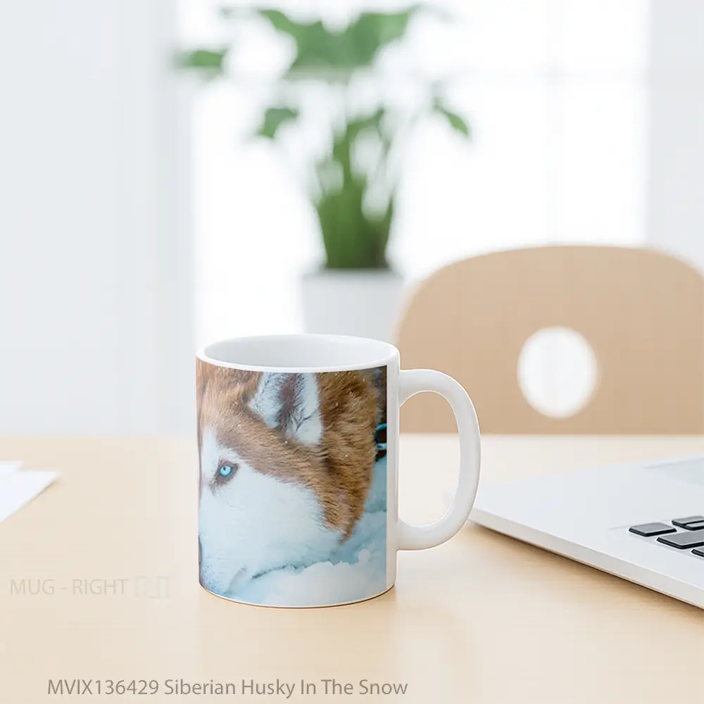 Mug Siberian Husky In The Snow Gelas Pemandangan Alam - All-side / Desain