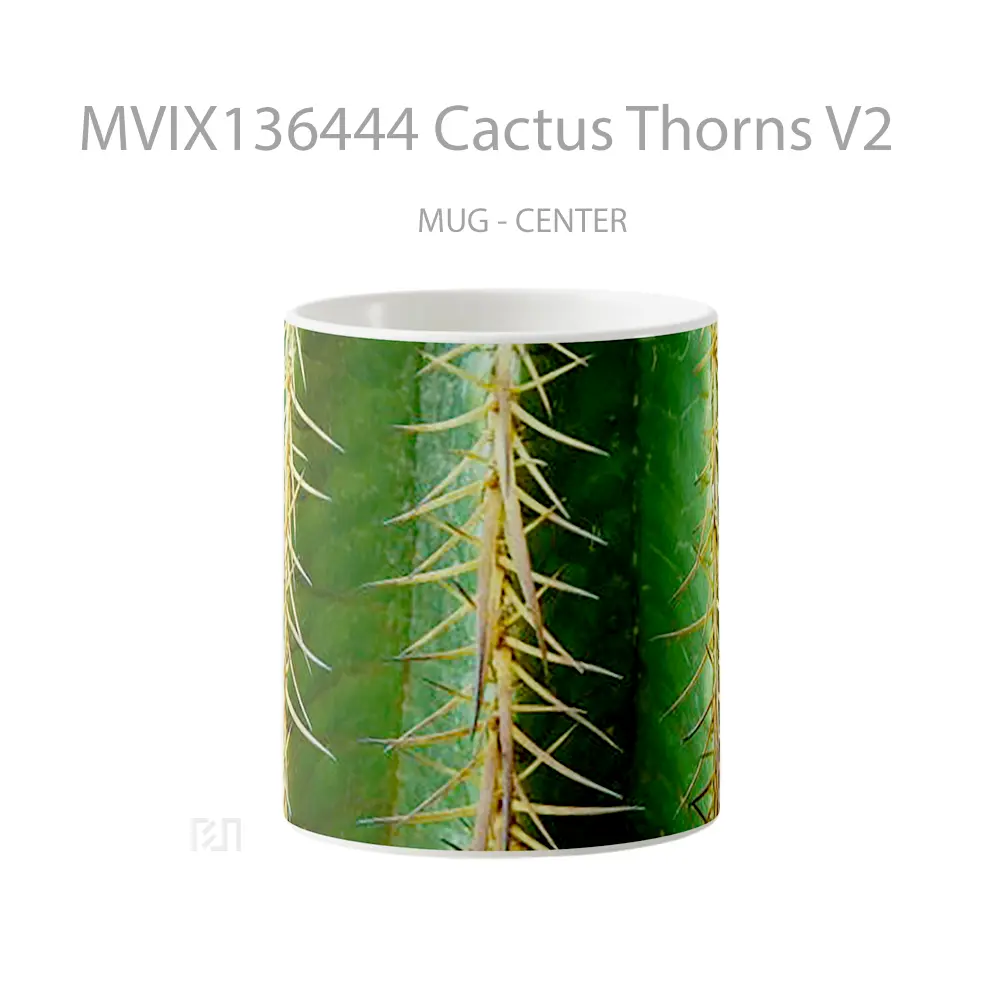 Mug Cactus Thorns V2 Gelas Keramik Unik