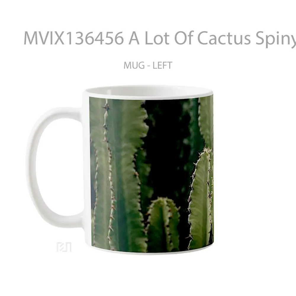 Mug A Lot Of Cactus Spiny Gelas Keramik Unik - All-side / Desain