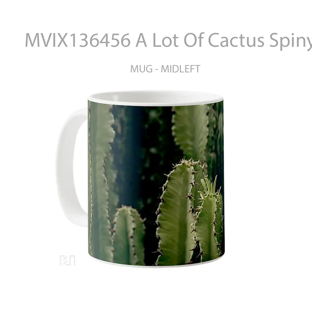 Mug A Lot Of Cactus Spiny Gelas Keramik Unik - All-side / Desain