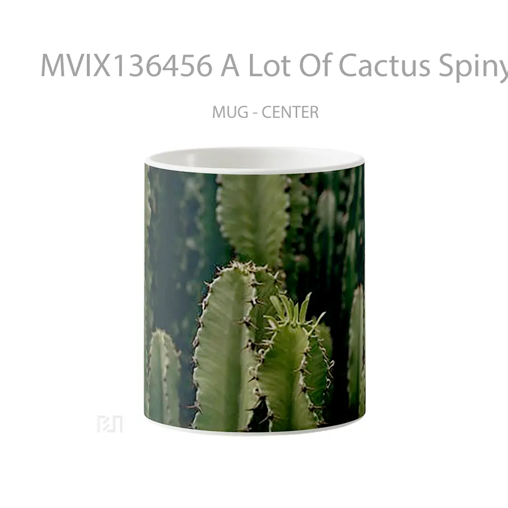Mug A Lot Of Cactus Spiny Gelas Keramik Unik