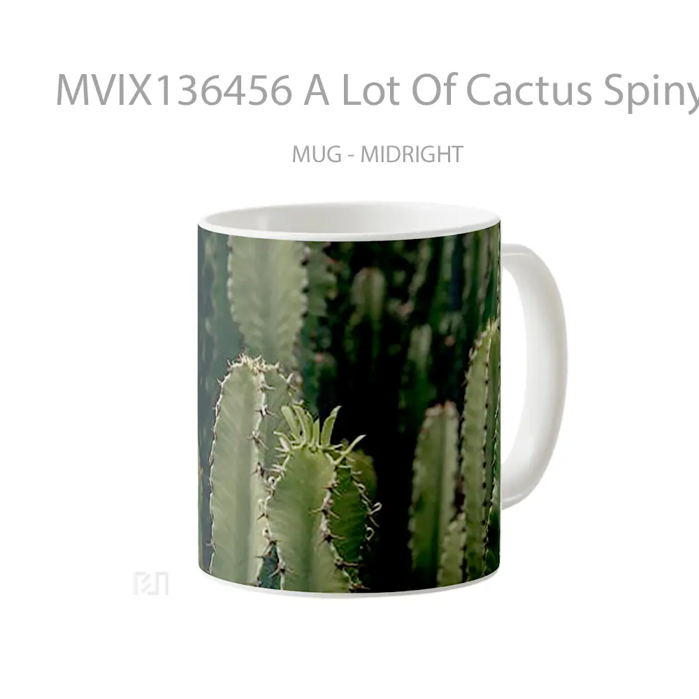 Mug A Lot Of Cactus Spiny Gelas Keramik Unik - All-side / Desain