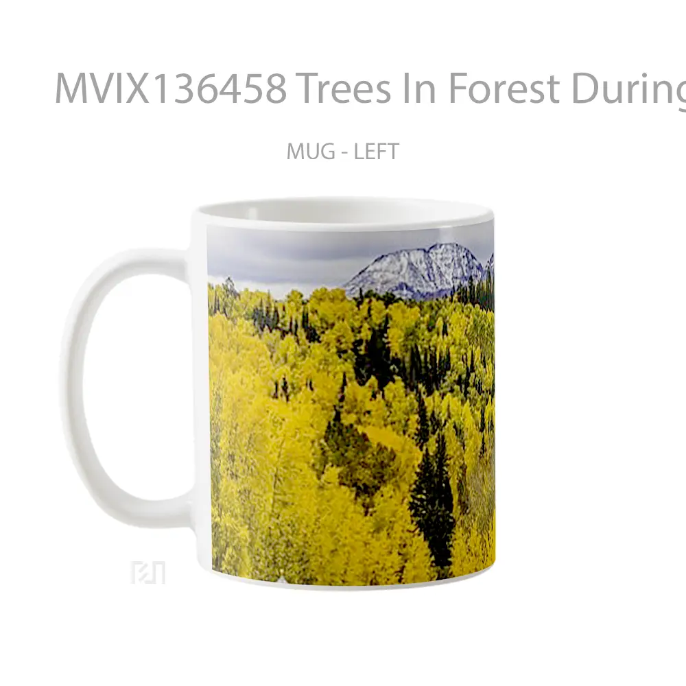 Mug Trees In Forest During Autumn In Colorado Gelas Pemandangan Alam - All-side / Desain