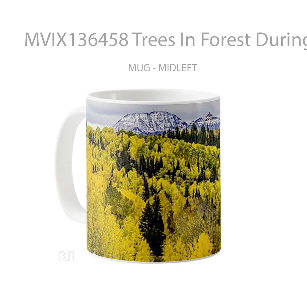 Mug Trees In Forest During Autumn In Colorado Gelas Pemandangan Alam - All-side / Desain