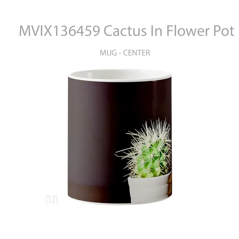 Mug Cactus In Flower Pot Gelas Pemandangan Alam