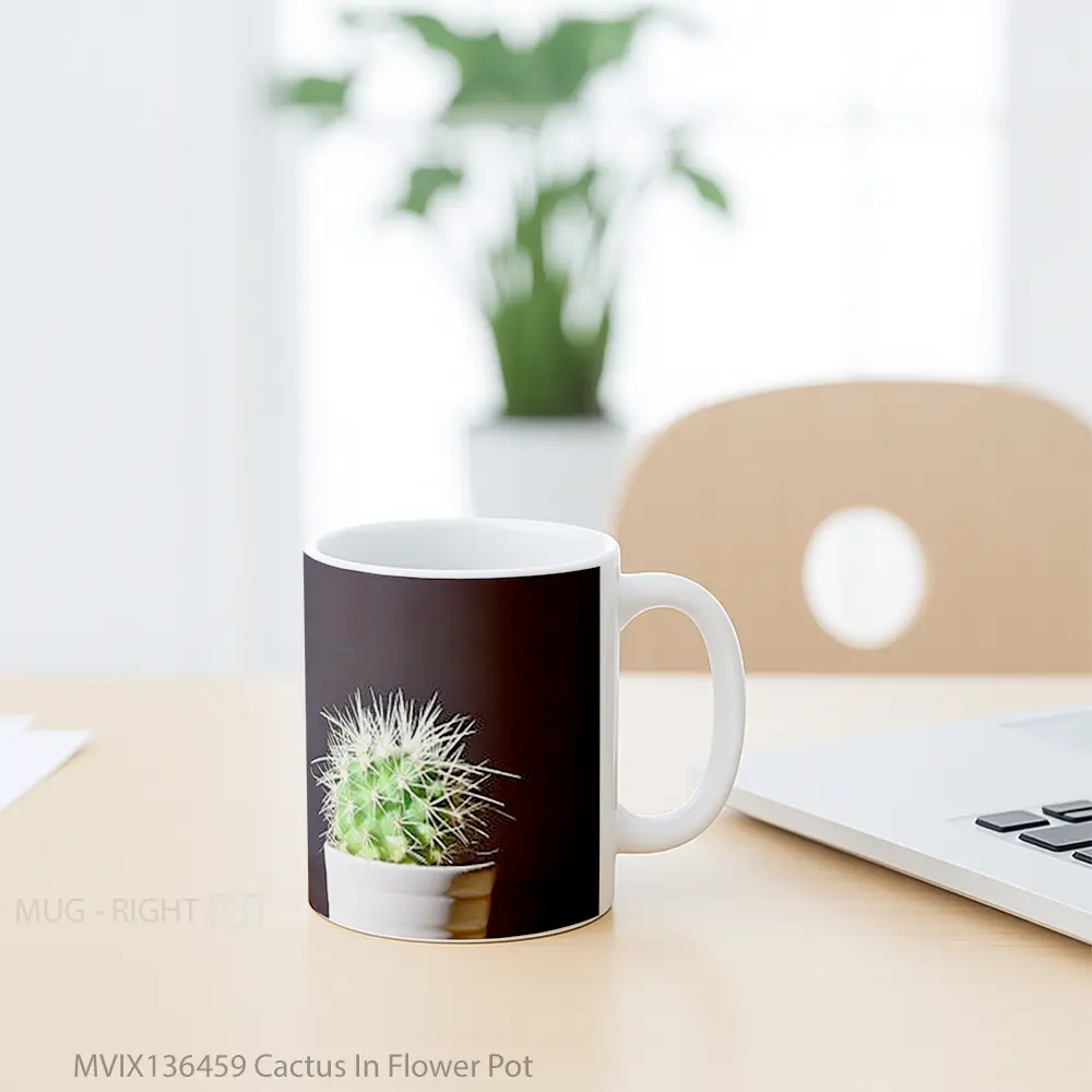 Mug Cactus In Flower Pot Gelas Pemandangan Alam - All-side / Desain