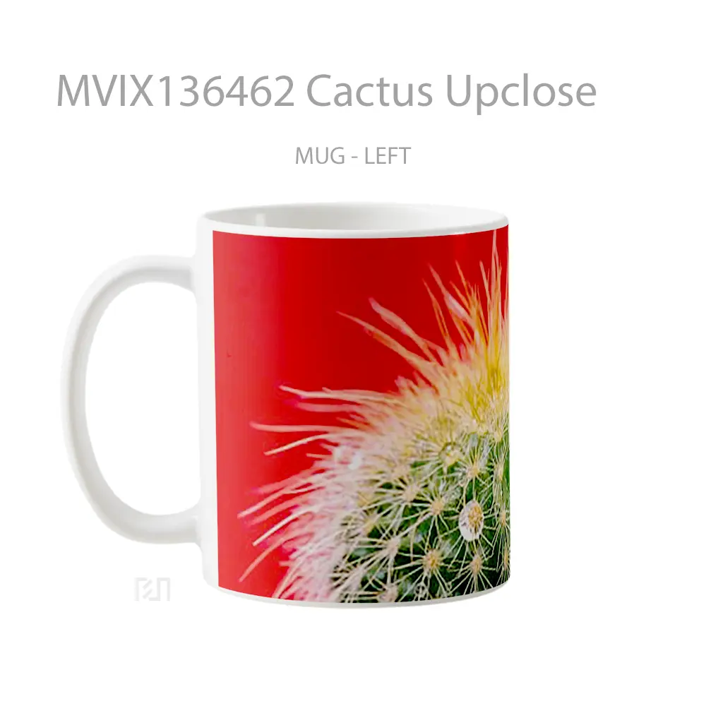 Mug Cactus Upclose Gelas Keramik Unik - All-side / Desain