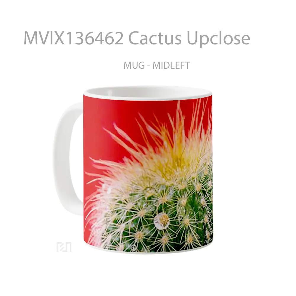 Mug Cactus Upclose Gelas Keramik Unik - All-side / Desain