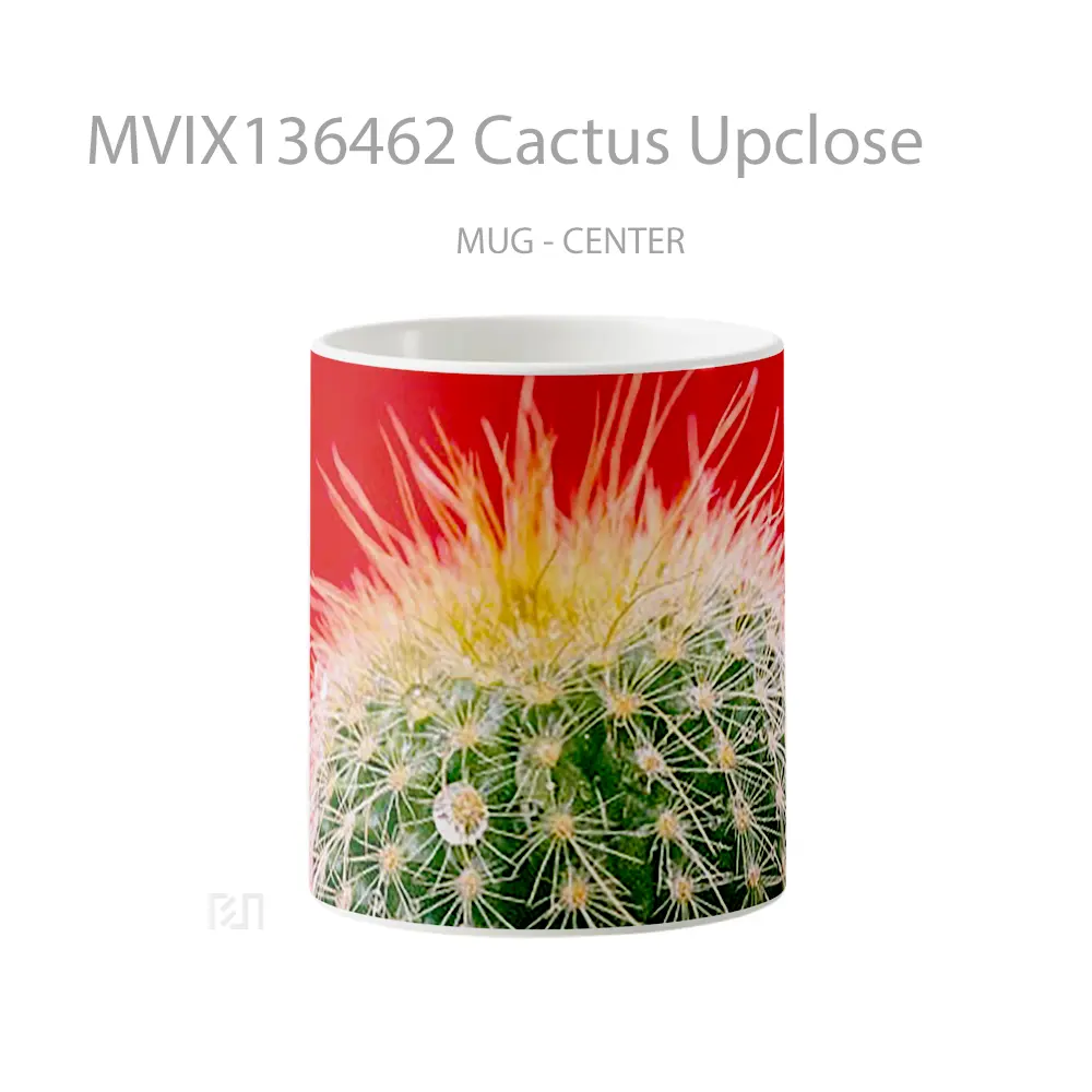 Mug Cactus Upclose Gelas Keramik Unik