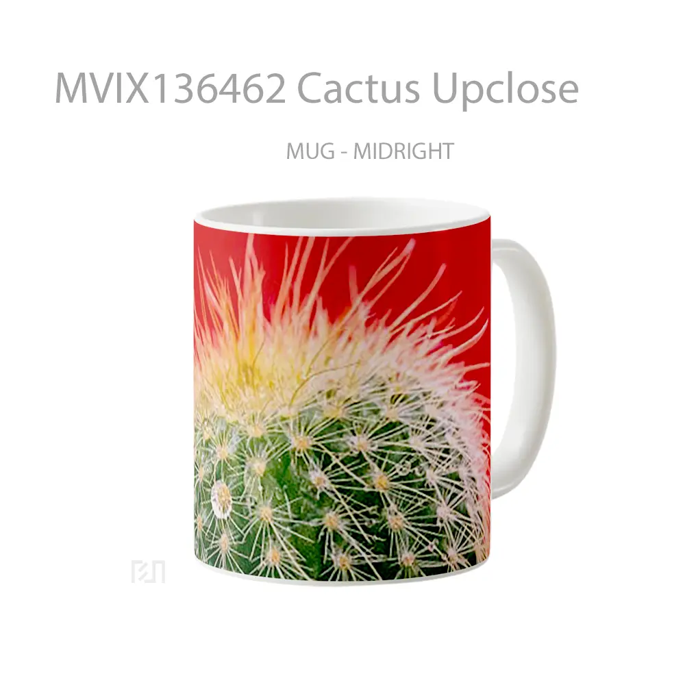 Mug Cactus Upclose Gelas Keramik Unik - All-side / Desain
