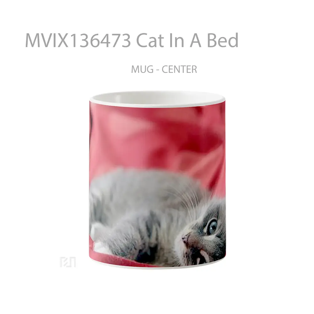 Mug Cat In A Bed Gelas Hewan Lucu