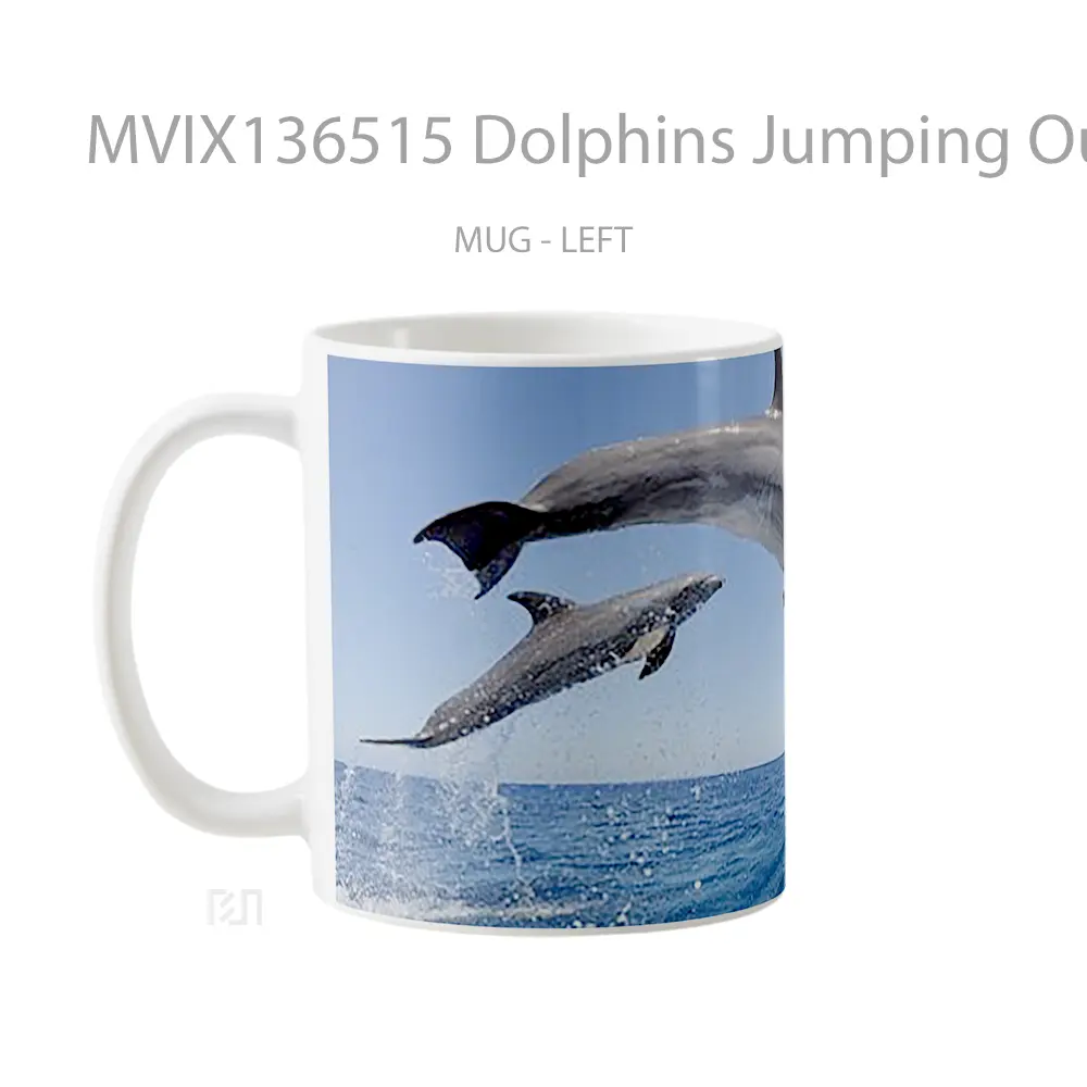 Mug Dolphins Jumping Out Of The Water Gelas Hewan Lucu - All-side / Desain