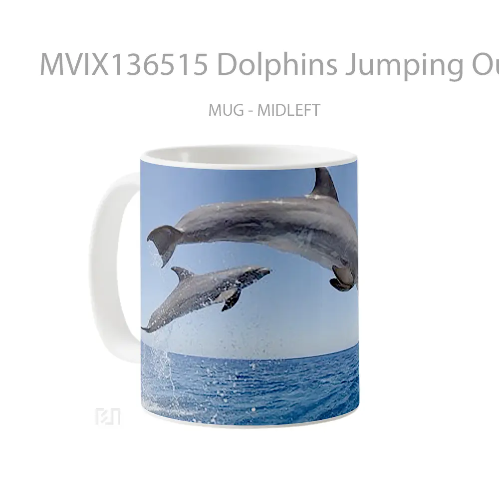 Mug Dolphins Jumping Out Of The Water Gelas Hewan Lucu - All-side / Desain