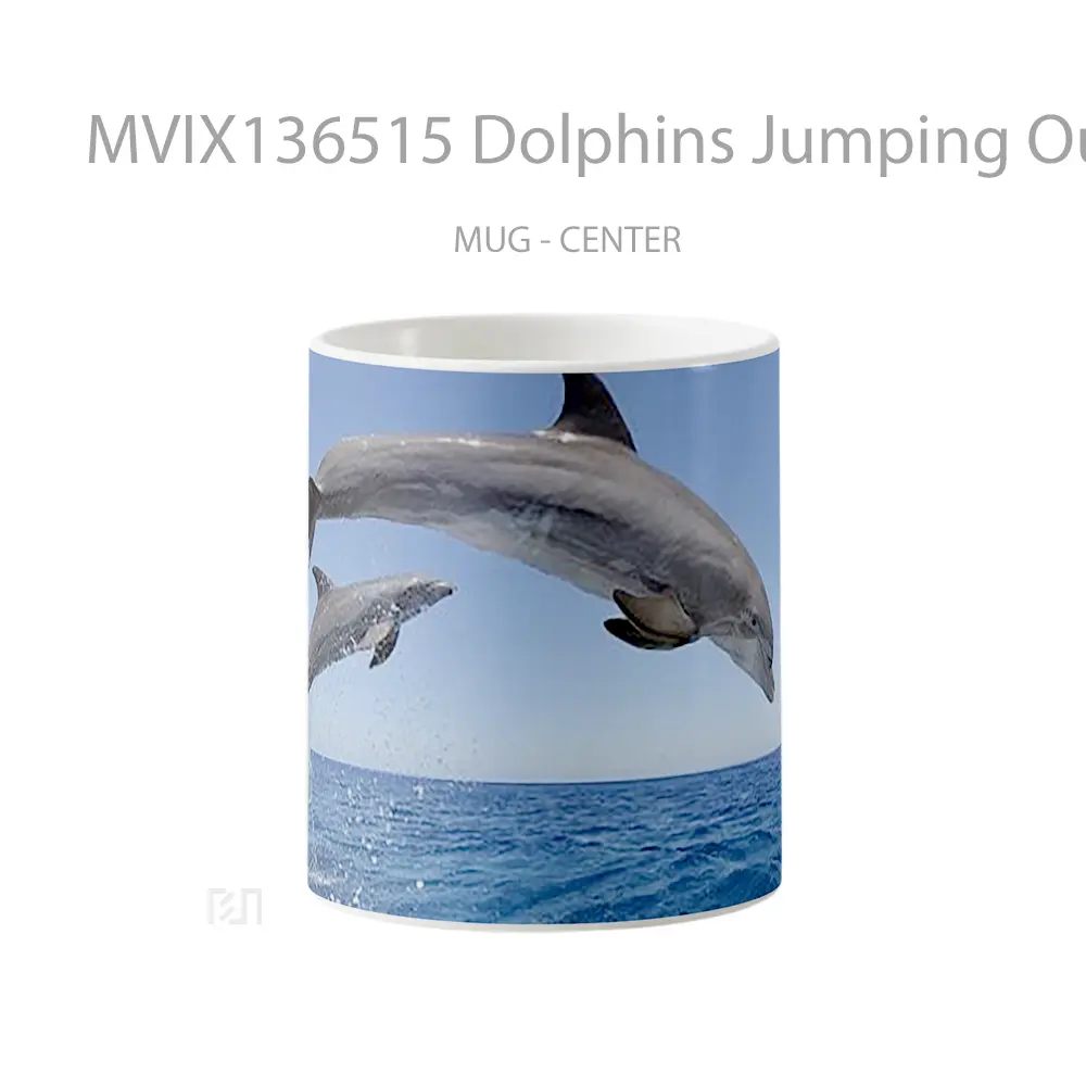 Mug Dolphins Jumping Out Of The Water Gelas Hewan Lucu