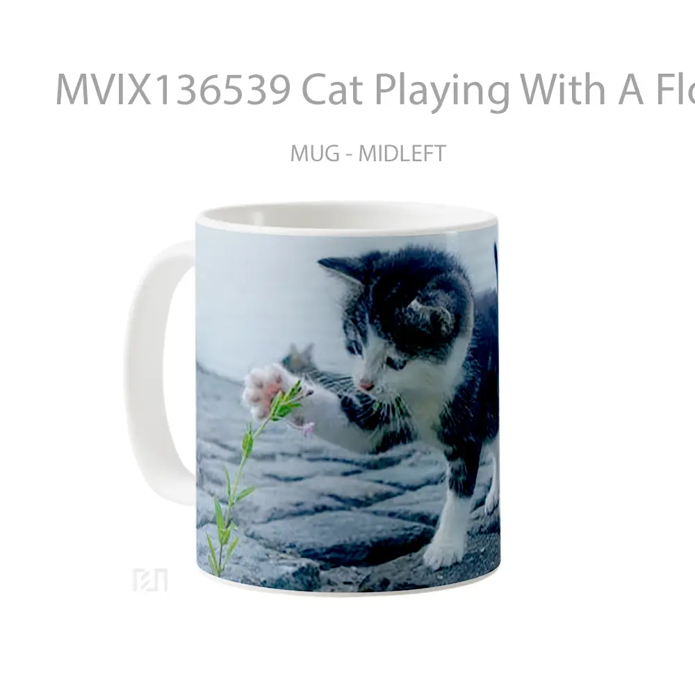 Mug Cat Playing With A Flower Gelas Hewan Lucu - All-side / Desain