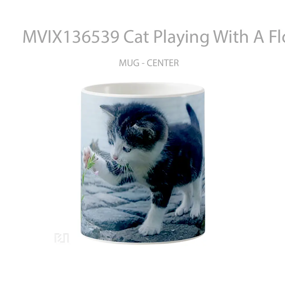 Mug Cat Playing With A Flower Gelas Hewan Lucu