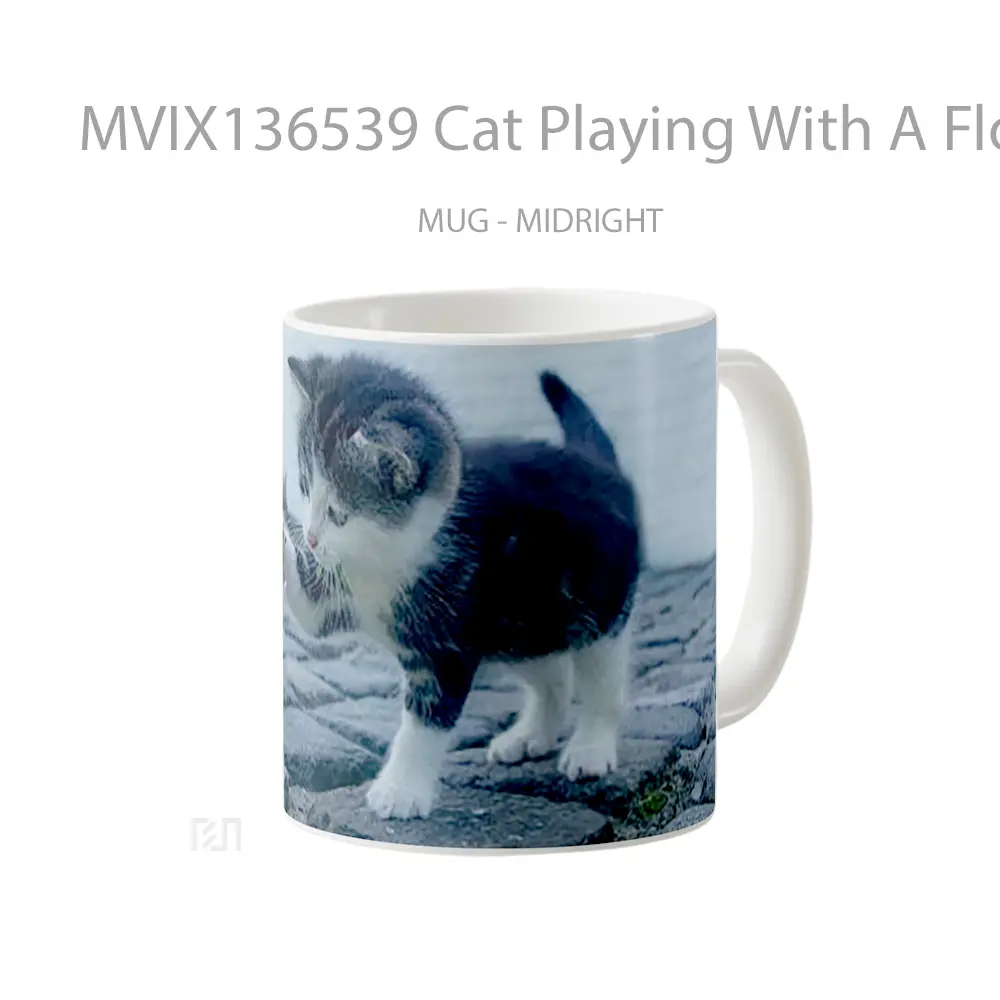 Mug Cat Playing With A Flower Gelas Hewan Lucu - All-side / Desain