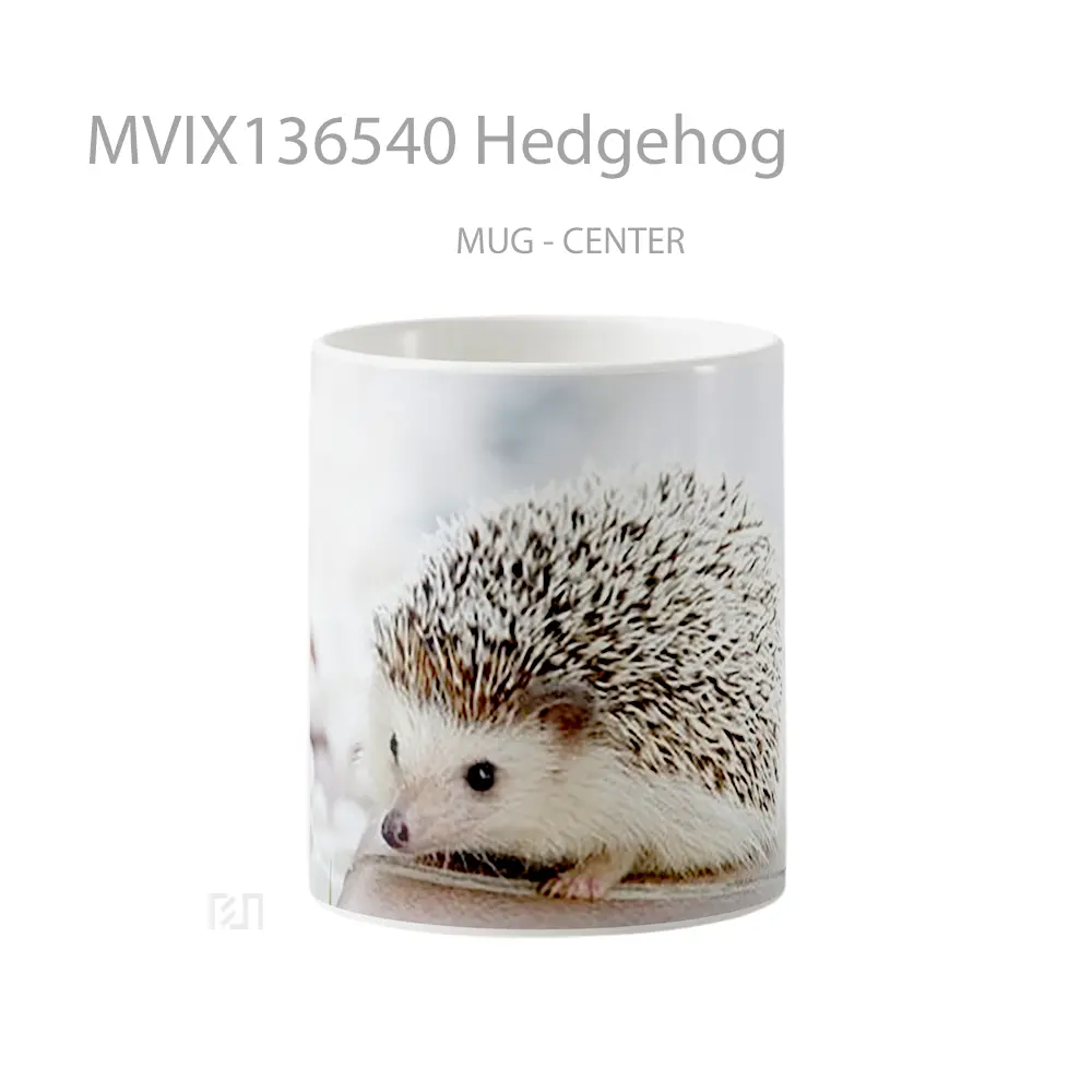 Mug Hedgehog Gelas Keramik Unik