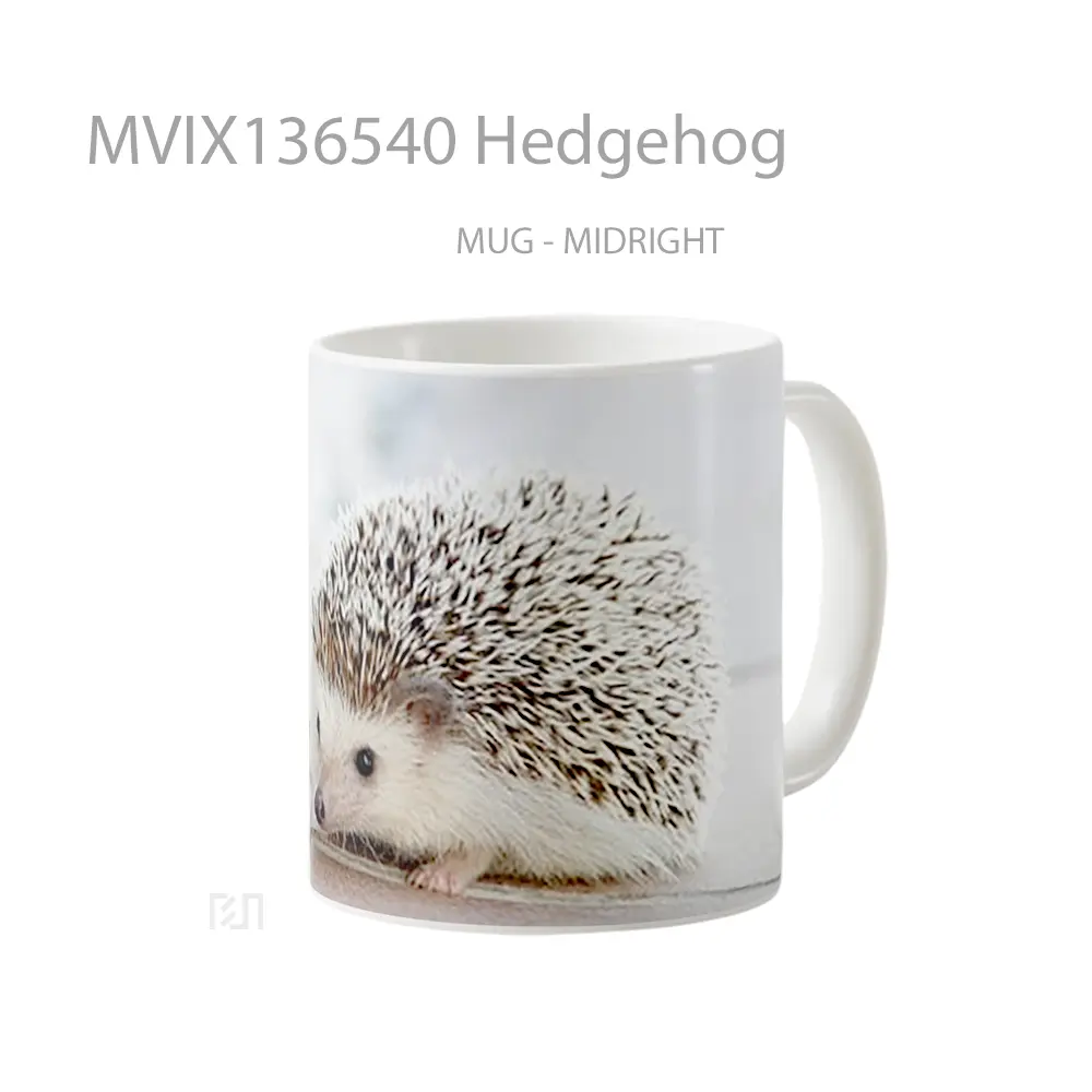 Mug Hedgehog Gelas Keramik Unik - All-side / Desain