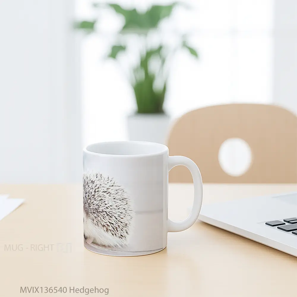 Mug Hedgehog Gelas Keramik Unik - All-side / Desain