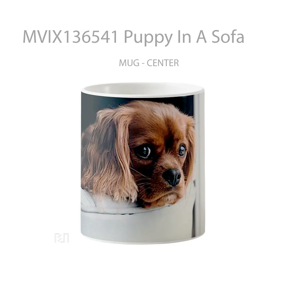 Mug Puppy In A Sofa Gelas Hewan Lucu