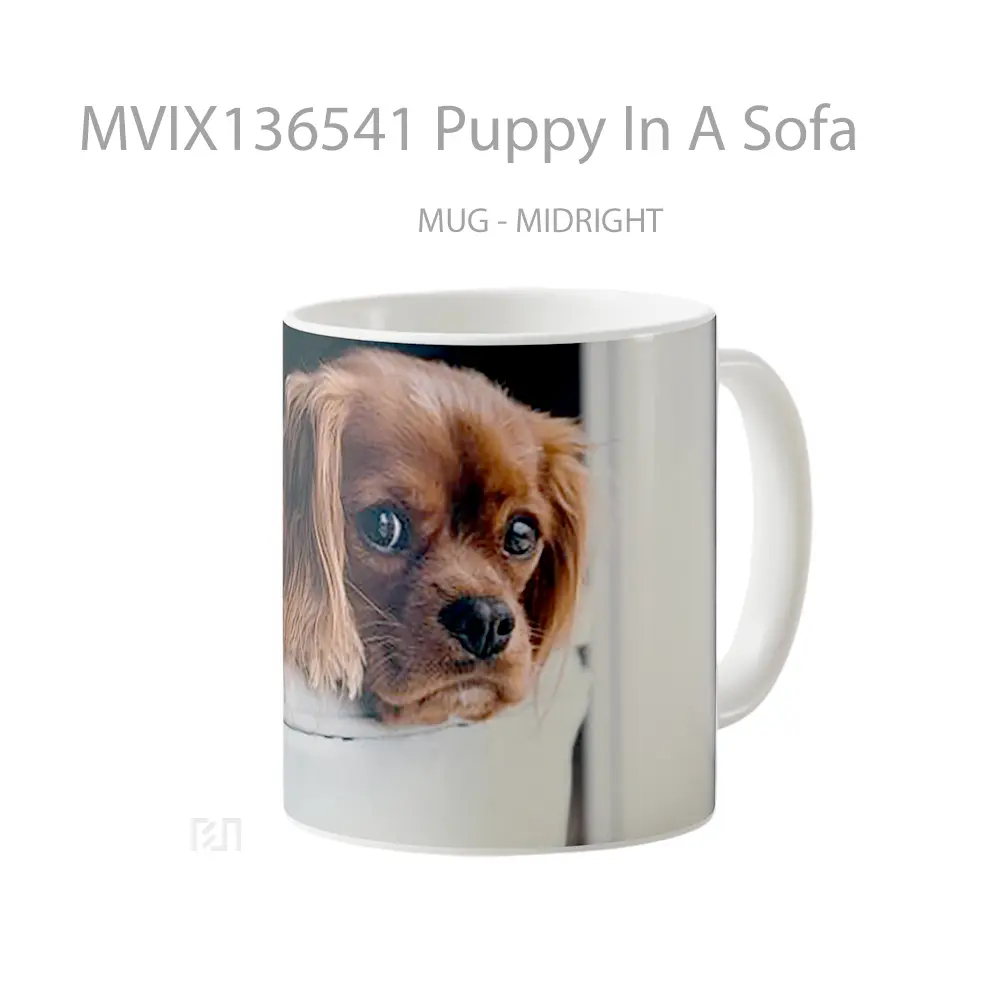 Mug Puppy In A Sofa Gelas Hewan Lucu - All-side / Desain