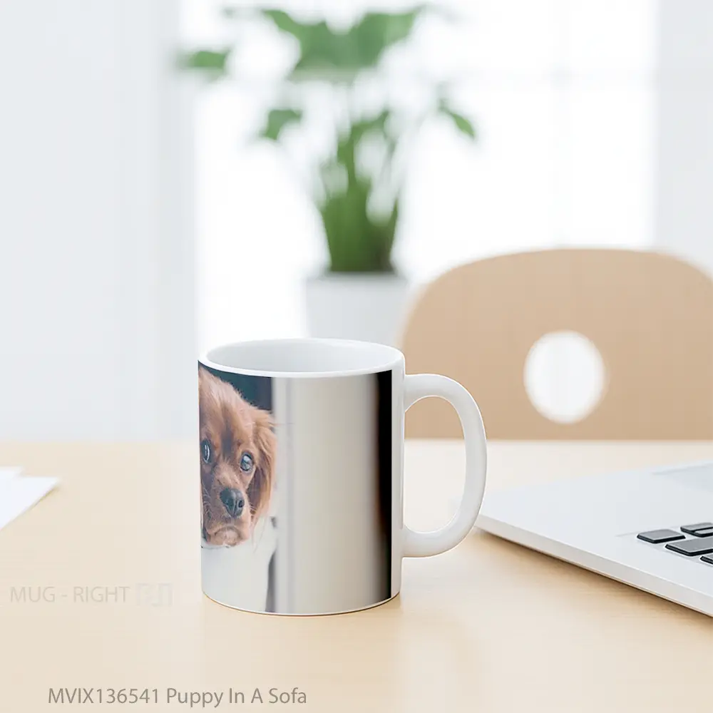 Mug Puppy In A Sofa Gelas Hewan Lucu - All-side / Desain