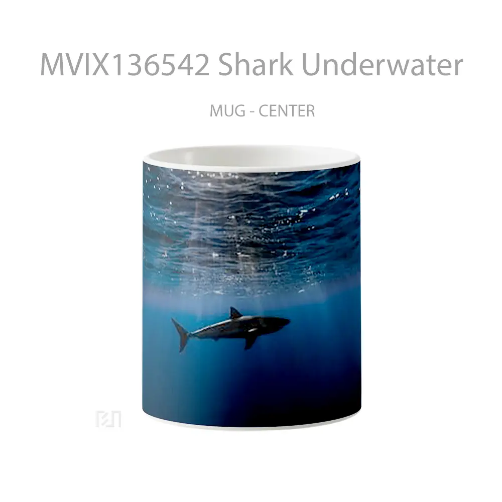 Mug Shark Underwater Gelas Hewan Lucu