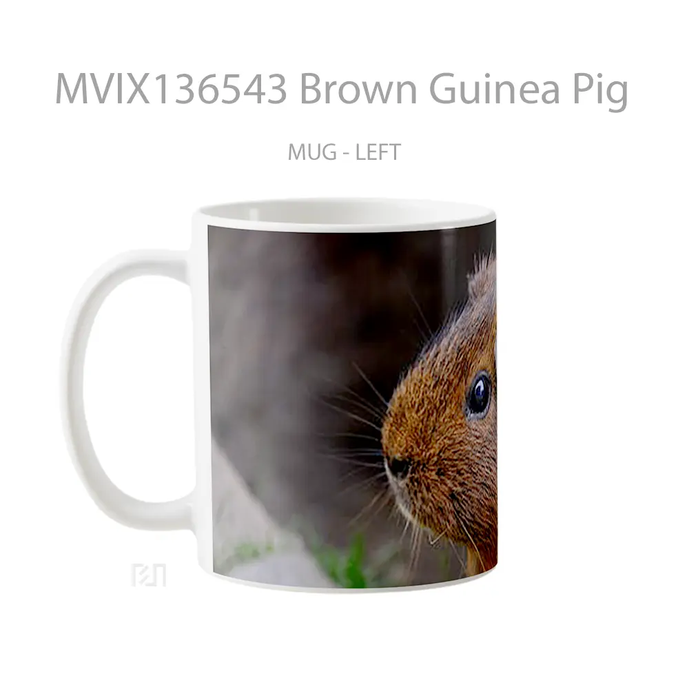 Mug Brown Guinea Pig Gelas Hewan Lucu - All-side / Desain