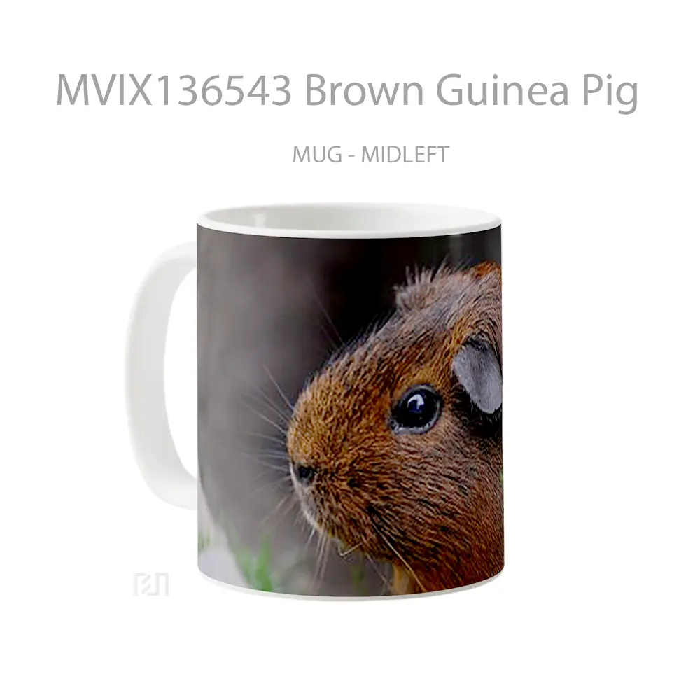 Mug Brown Guinea Pig Gelas Hewan Lucu - All-side / Desain
