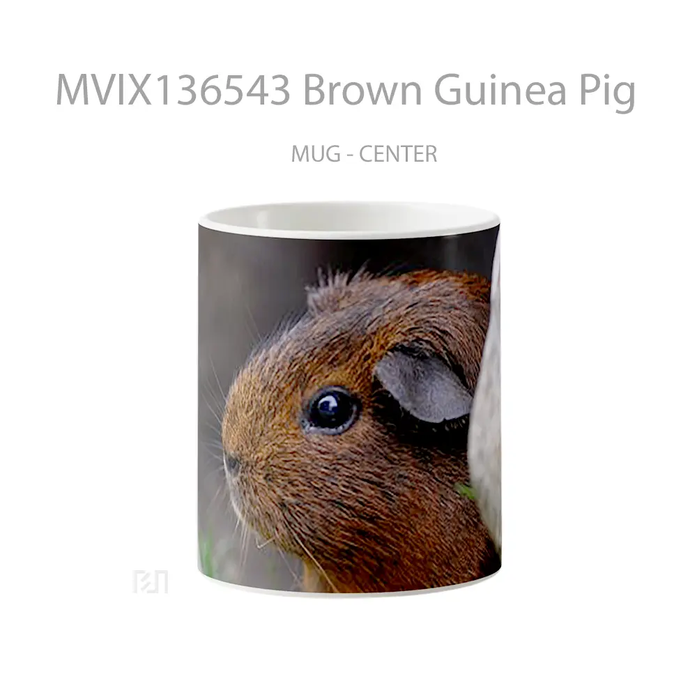 Mug Brown Guinea Pig Gelas Hewan Lucu