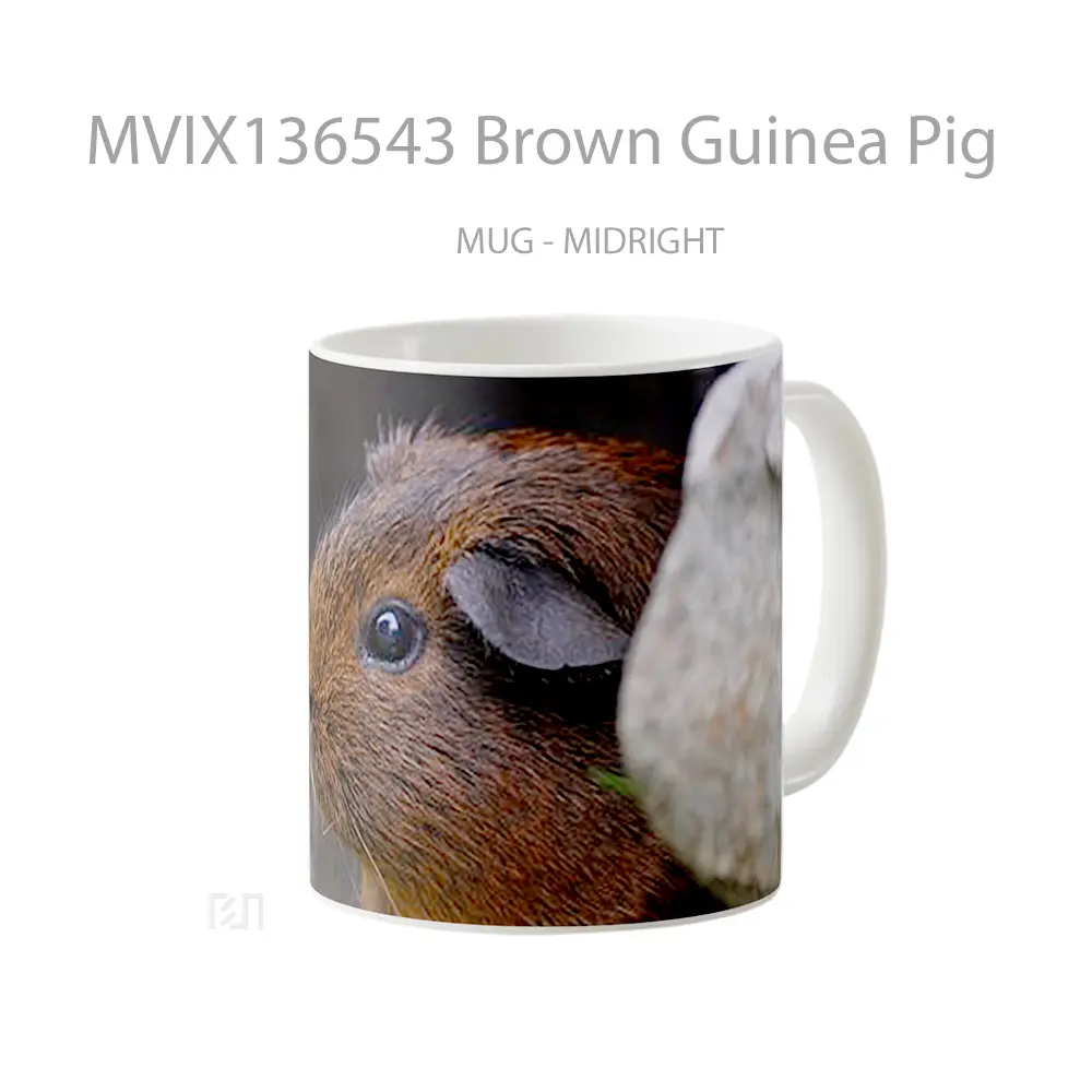 Mug Brown Guinea Pig Gelas Hewan Lucu - All-side / Desain