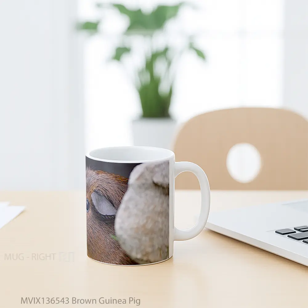 Mug Brown Guinea Pig Gelas Hewan Lucu - All-side / Desain