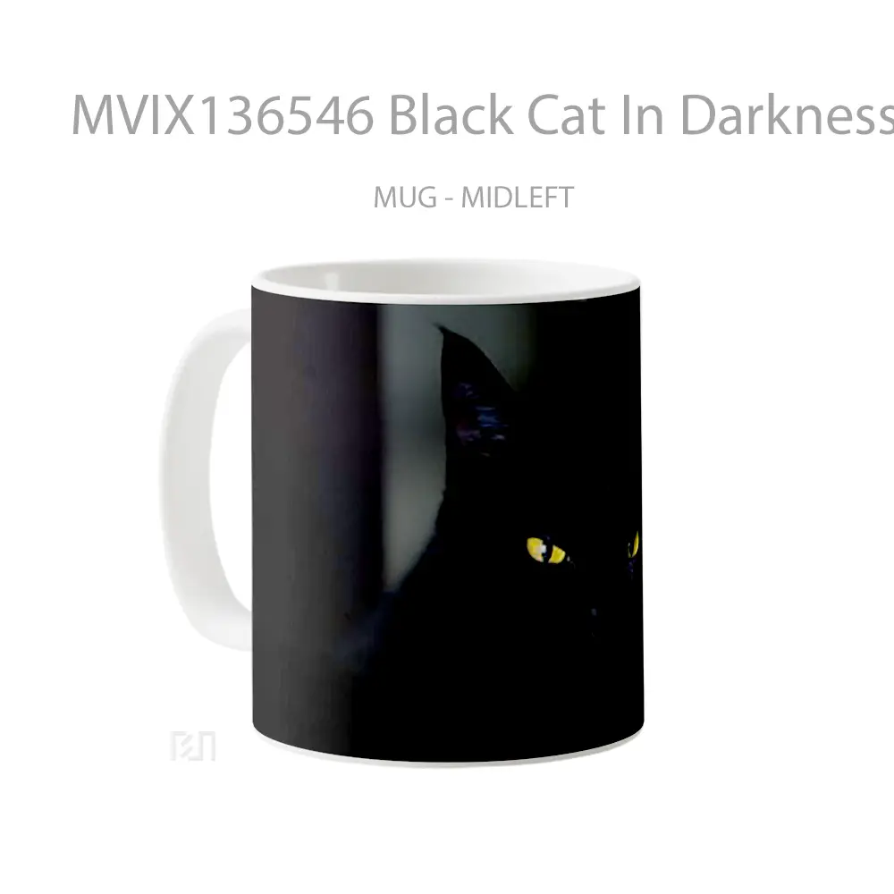 Mug Black Cat In Darkness Gelas Hewan Lucu - All-side / Desain