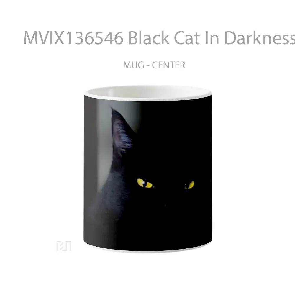 Mug Black Cat In Darkness Gelas Hewan Lucu