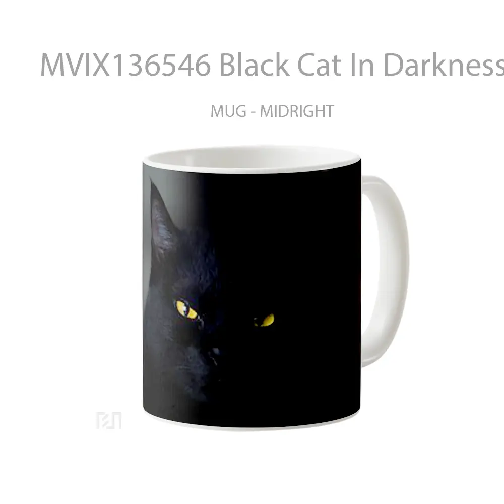 Mug Black Cat In Darkness Gelas Hewan Lucu - All-side / Desain