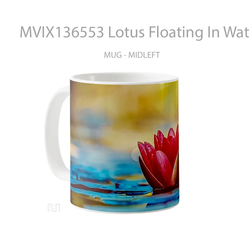 Mug Lotus Floating In Water V1 Gelas Pemandangan Alam - All-side / Desain