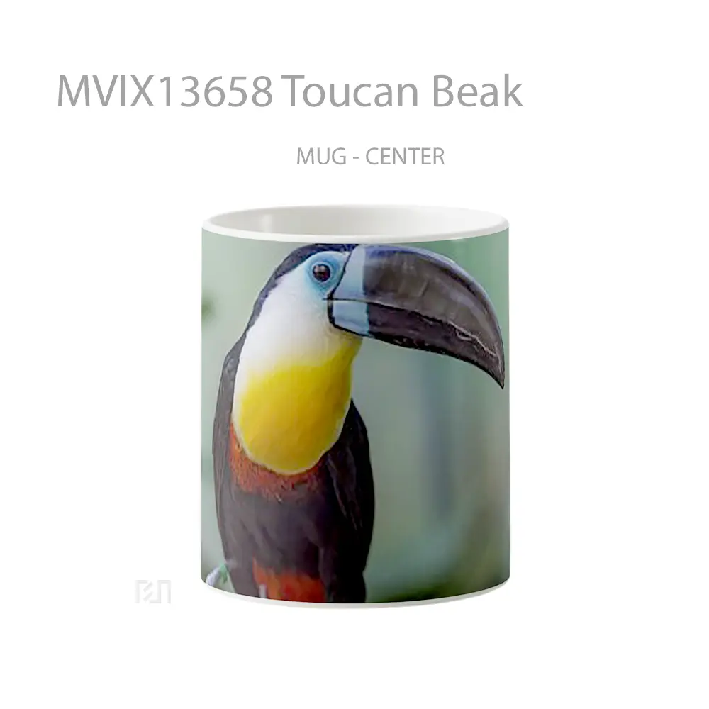 Mug Toucan Beak Gelas Keramik Unik