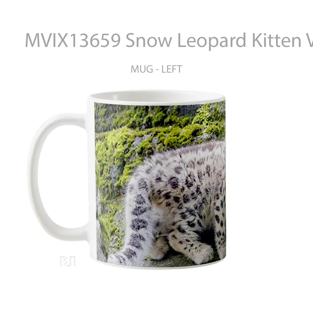 Mug Snow Leopard Kitten V1 Gelas Hewan Lucu - All-side / Desain