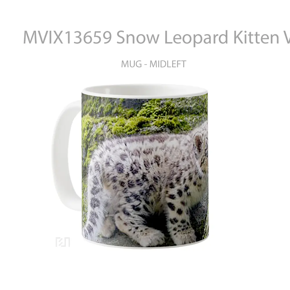 Mug Snow Leopard Kitten V1 Gelas Hewan Lucu - All-side / Desain